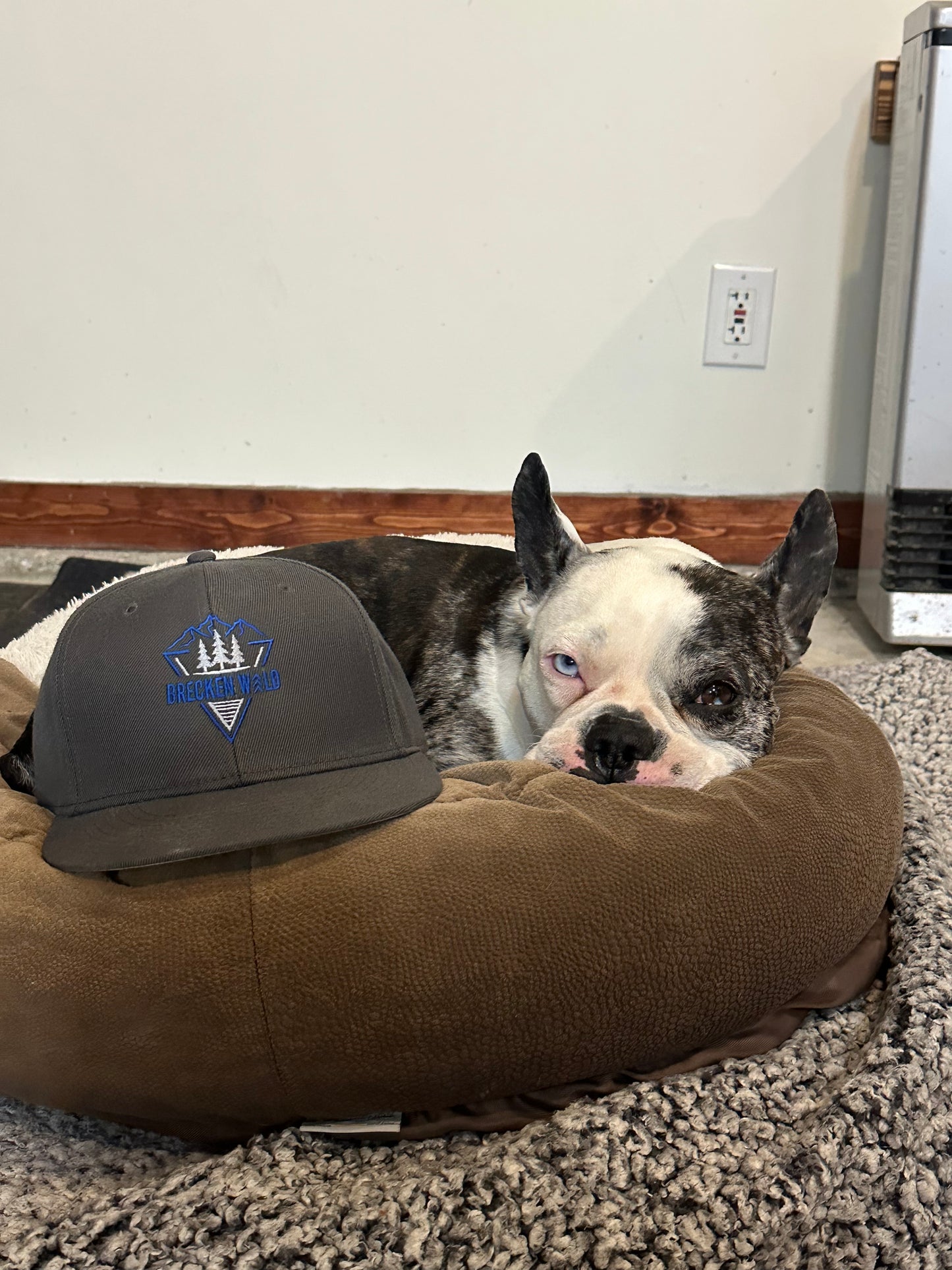 Brecken Wild Embroidered Snapback Hat
